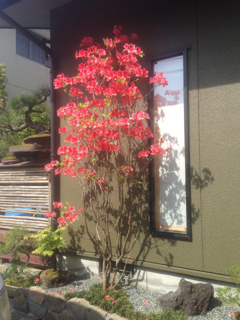 作品集・葉月園